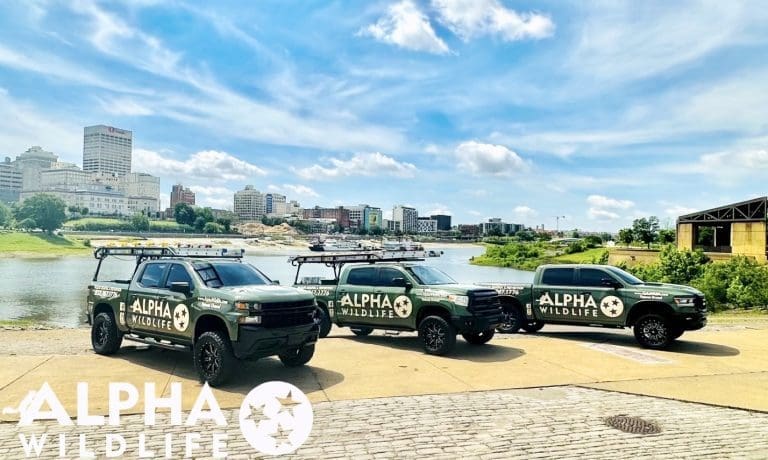 Alpha Wildlife Trucks